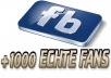 give you 1000+ facebook fans/likes 100% real on your website.