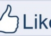 supply you 500 facebook post likes