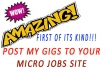 post 11 Gigs on your microjobs site and active