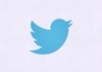 supply you 250 website tweet