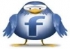 give you 818+ Facebook likes 100% real & active on your website