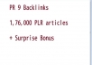 manually create 12 unique Pr 9 backlinks + 1,76,000 PLR articles+ surprise bonus
