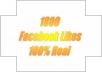 give you 1800 Facebook Likes, 100% Real