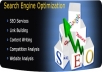 Provide Complete Pro Seo Package