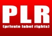 give you 4200 Ezine PLR Articles