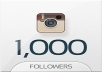Provide you 1000+ Instagram Followers 100% real on your website