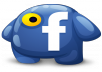 give you 355+ 45 Facebook likes 100% real & active on website