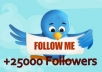 give you 25000+ High Quality Twitter Followers