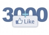 give you 3000+ PERMANENT Facebook likes to your facebook fanpage