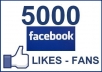 Give You 5000+++ Facebook Permanent Fans/Likes To Your Facebook Fans Page Guaranteed within 50 hrs for
