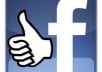 promote your business or website to 8100000 real and active Facebook users and 102000 Facebook fans