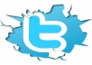 provide you 5000+1000 twitter followers without any admine access 