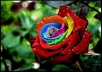 give you 170+real twitter followers!!! 100% real ONLY