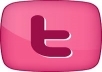 give you Real & active 1771+ Twitters Followers on you website