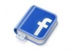 give you 1880  Facebook Likes, 100% Real