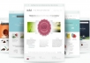 give you any wodrpress template from elegantthemes