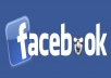 send you 15OO+ USA likes to your Facebook fan page in less than a day