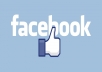 6999 Facebook High Quality Like.(without admine access)