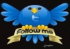 give you 1616  Twitter Followers, 100% Real