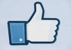 [not Accept Fanpage,photo,status] 5000+ Real Usa Facebook likes your web site