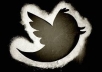 increase 25,000 {Staying Forever} Twitter Followers To Any Twitter Account 