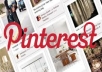 show you how to become a Pinterest Expert and give you two extra bonus reports for
