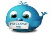 give you 100+ twitter followers Real & Genuine
