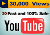 I will give 30,000 views in 24 hours  Guaranteed Results