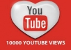 send 10,000 unique views to your YouTube Channel