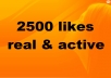 dd 2500+ Facebook Likes to anyFan Page, get Real Looking Facebook likes / Fans
