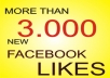 MORE THAN 3.000 PERMANENT FACEBOOK LIKES