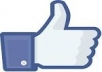 I Will Give You *600* You Facebook Fans Likes on your page only