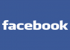 provide you 50000+ permanent facebook likes to your page within 5 days
