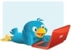 give you 1101++ Twitters Followers 100% real on your website