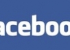 supply you 500 world wide facebook fans