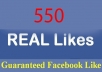 will give 500+ High Quality Real, Active Facebook Likes or Fans to your facebook fan Page,websites no bots, no fake