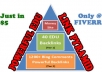 create a powerful EDU link pyramid, with 40 edu wiki and 1200 blog comments ||| Buy 2 Get 1 Free ||| @!