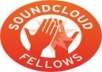 give you 500+ SoundCloud Followers only 