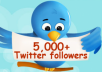 add high quality 12500+ real looking twitter followers to your account in less than 5 day without admin access 
