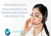 I will work as your virtual assistant for 3 hours only