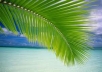 manually create jigsy.com Website PR6 for your Business with Pictures and Articles 
