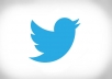 I will add 20,000 [staying] twitter followers in less then 24 hours 