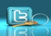 deliver More Than 8500+ Followers on Your Twitter Account in Maximum 6 Hours 