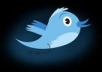 provide you 3k++ Twitter Followers, 100% real & Genuine only