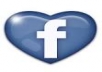 give you 611 Facebook Likes, 100% Real