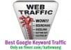 send you 3000+ Google Keyword targeted traffic with Guarantee - low price - 