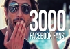 give you 3000+ 100% LEGITIMATE Facebook Likes to Your FanPage within 72hrs