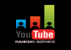 Youtube ranking Service 1 Month Daily SEO