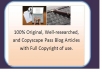 Write Two 300 Word Original Blog Articles