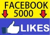 add 5000 real active likes to your fanpage